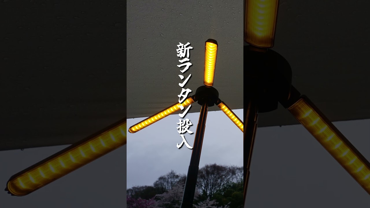 【キャンプ速報】桜に映えるヘキサイーズ１アイボリー in 山梨県笛吹市 御坂路さくら公園オートキャンプ場　 #キャンプ #ソロキャンプ #花見 #桜 #ヘキサイーズ1