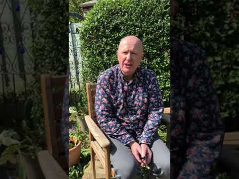 From Isolation – Inspiration Niall Buggy