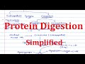 1.  Digestion of Proteins