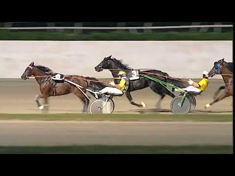 Napoli Trotto 17/06/2023 - 4ª corsa