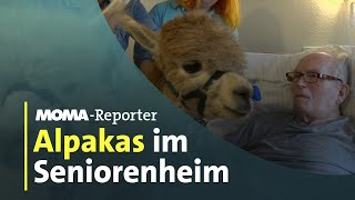 Alpakas im Seniorenheim | ARD-Morgenmagazin