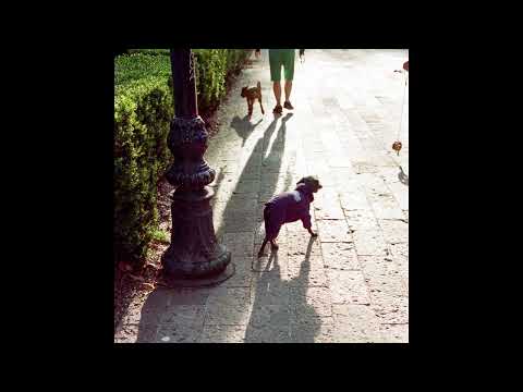 Karl Neudert - Mientras Puedas