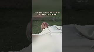 Download lagu WHEN THE UL4R EXPERIMENT TURNS BACK ON ITS OWN CREATOR #film #filmstoryline #shortfilm mp3 Download lagu WHEN THE UL4R EXPERIMENT TURNS BACK ON ITS OWN CREATOR #film #filmstoryline #shortfilm mp3