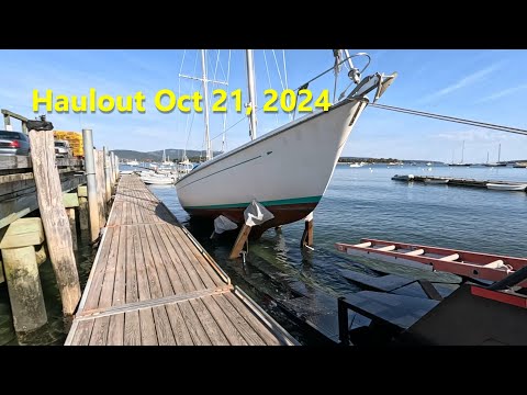 Haulout - October 21, 2024