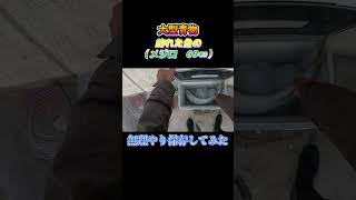 大型青物！釣った魚（メジロ　69㎝）を小さいクーラーボックスで保存してみた。#shorts #釣り #ショアジギング