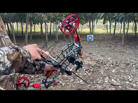 Bb Compound Bow