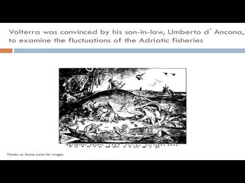 THE VIRUSES THEY ARE A CHANGIN': ON THE ECO-EVOLUTIONARY DYNAMICS OF VIRUS-HOST INTERACTIONS