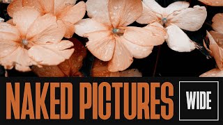 Naked Pictures - W I D E | Full Album Experience