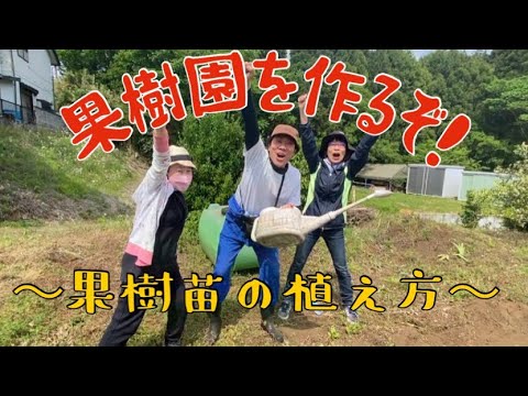 粘土質の土壌に植える果樹はどれですか?いつ、どのように植えるのですか？  庭園