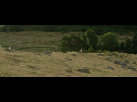 Joakim Berg x Maria Jane Smith – ”Hösten”