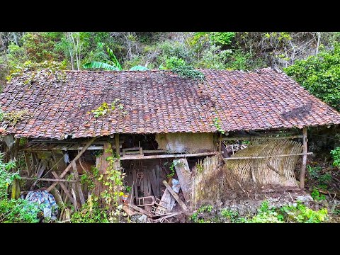 The old house looks like it is in the tropical rainforest~ The village head told me to renovate it