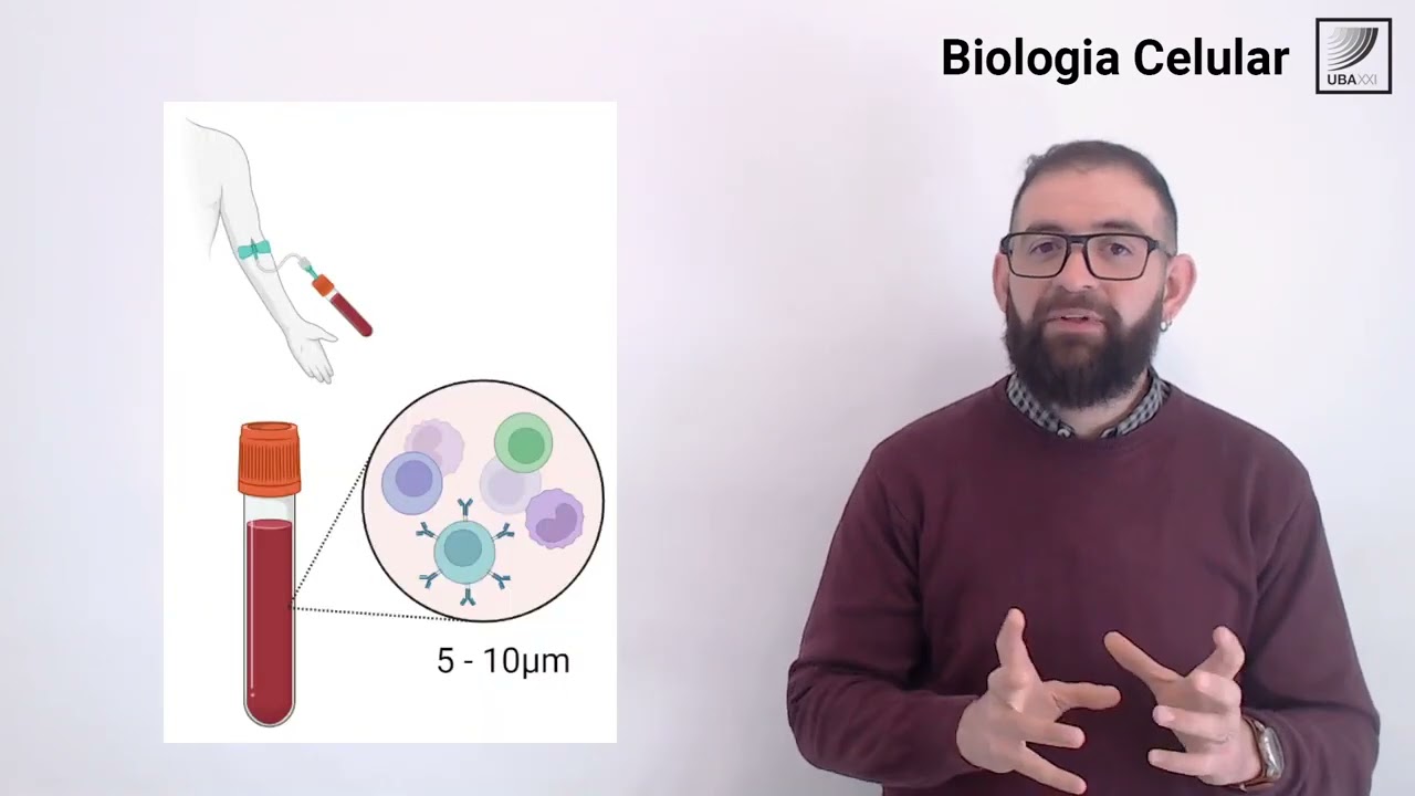 15. Biología Celular: Técnicas utilizadas en el estudio de la célula