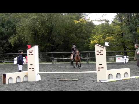 comment participer a un concours d'equitation
