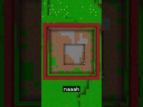 ESPERIMENTO DI MINECRAFT 4