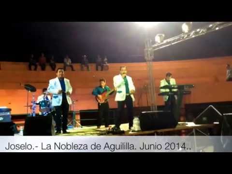 Joselo.- La Nobleza de Aguililla. Junio 2014