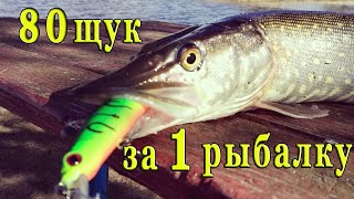 Ссылка