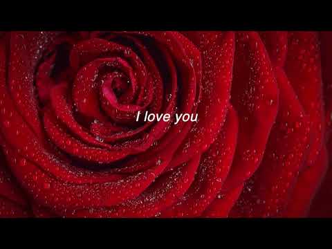 Your secret admirer ❤️ ~ Send letter to your secret crush your love