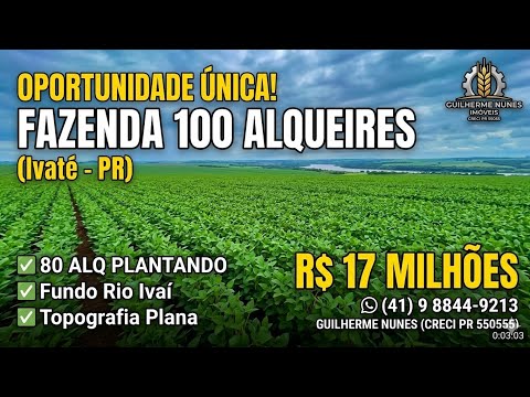 Fazenda à Venda em Ivaté PR | 100 Alqueires (242 ha) Beira Rio Ivaí - Plantando 80 Alqueires
