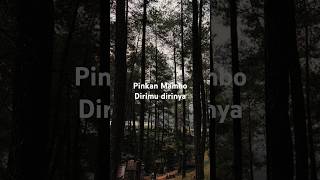 Download lagu Pinkan mambo - dirimu dirinya #pinkanmambo #dirimudirinya #liriklagu #nostalgia #music mp3