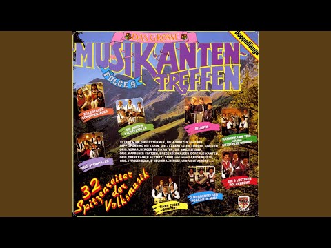 Vagabunden der Musik