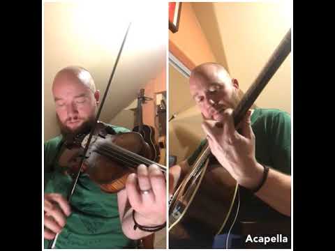 Day 45 - The Peach Blossom - Fergal's Tune a day 2019