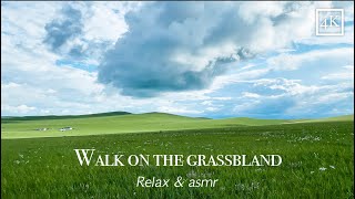 Walking the grasslands of Inner Mongolia, China