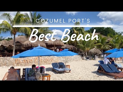 Beautiful & Free Beach in Cozumel - Tour of Playa Palancar (Perfect for cruise passengers!)
