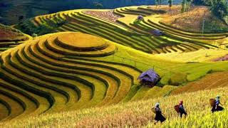 Download lagu Degung Sunda Penyejuk Hati, Pengantar Tidur, Penghilang Stress mp3 Download lagu Degung Sunda Penyejuk Hati, Pengantar Tidur, Penghilang Stress mp3