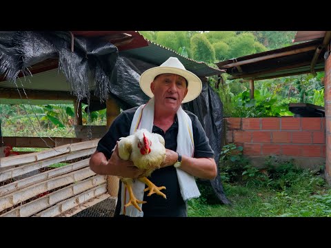 TRABAJANDO EN EL CAMPO - LOS MONTAÑEROS