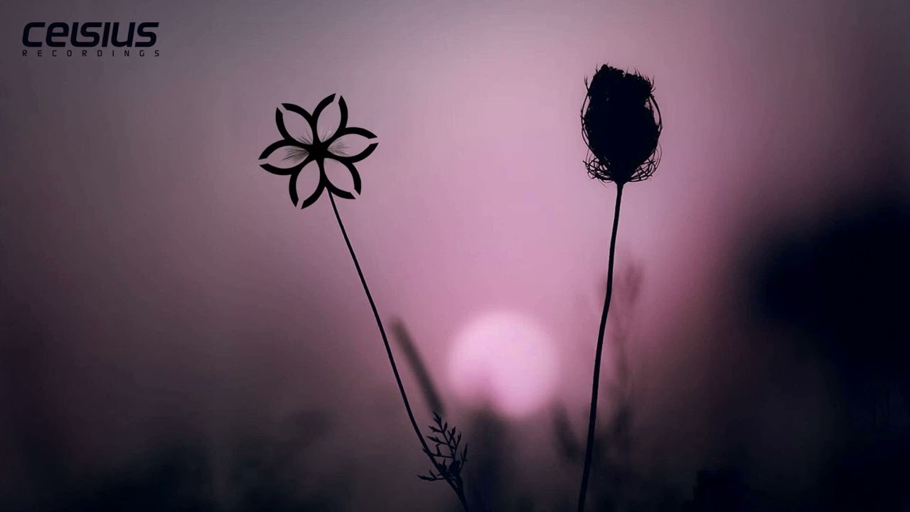 TMK & Decaz - Sonder