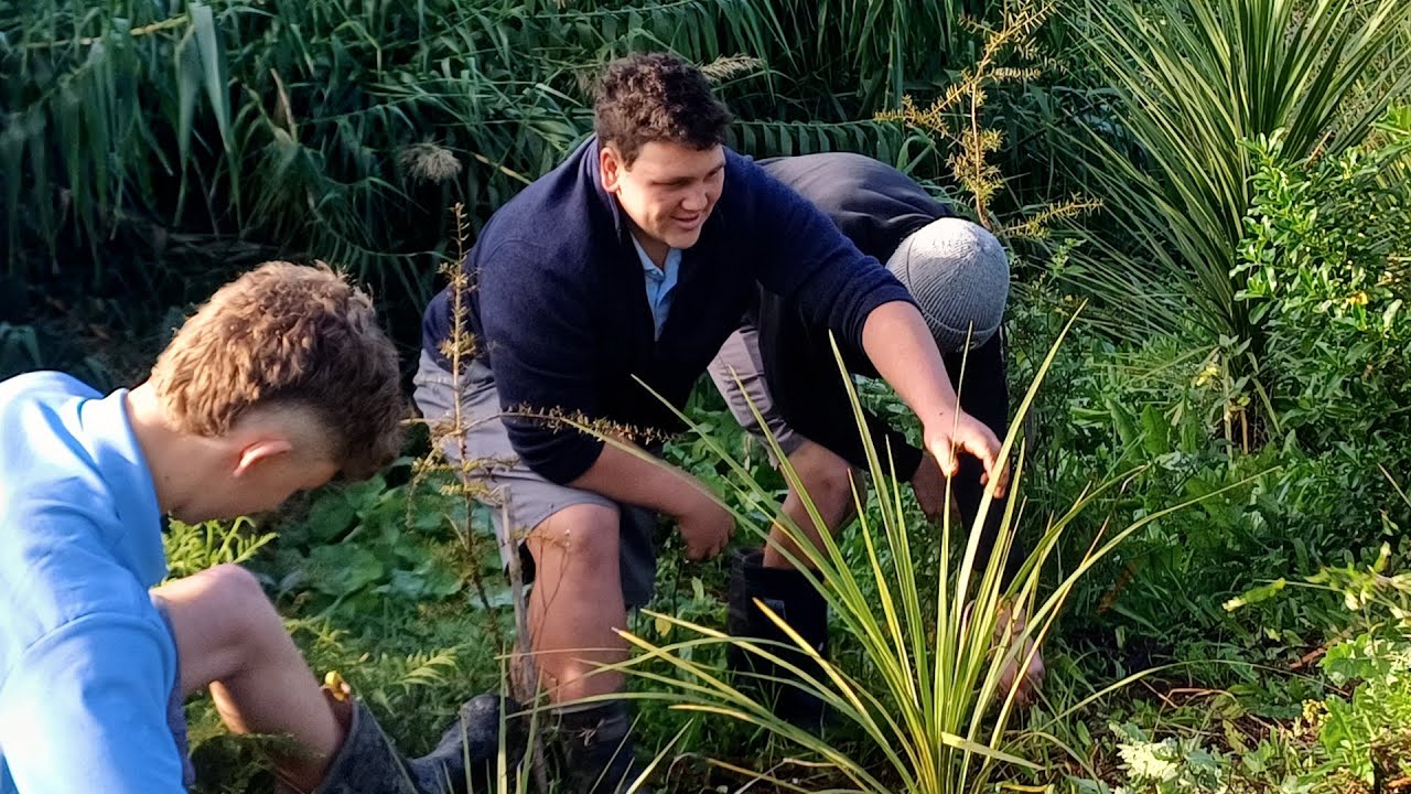 Enviroschools in action: Whangārei Boys’ High School at Waiarohia stream
