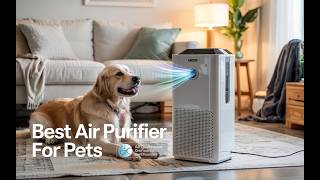Best Air Purifier For Pets 👌 Top 5 Air Purifiers For Pets That Really Work!