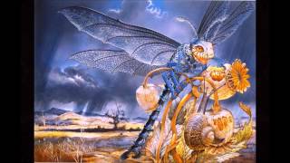 Banco de Gaia - Shanti (Red With White Spots Edit)