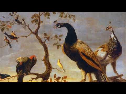 Video thumbnail for Le chant du rossignol