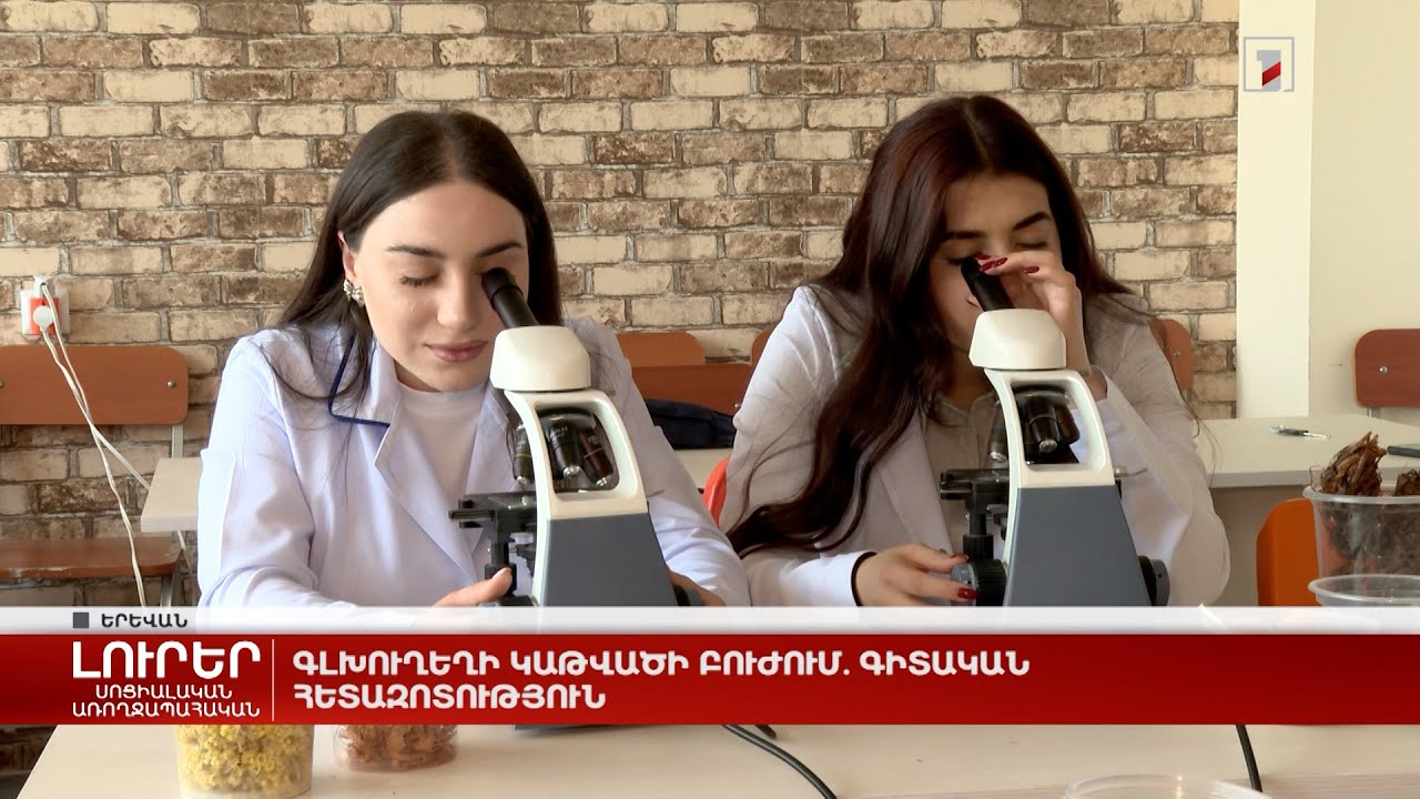 Գլխուղեղի կաթվածի բուժում. գիտական հետազոտություն