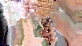 Lone - Green Sea Pageant