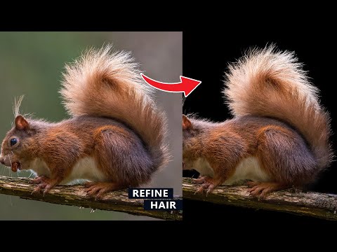 Powerful way to refine hairs and change background in Photoshop