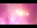 STARS - The Flutter and Wow 