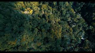 preview picture of video 'Hutan Kemasyarakatan Gapoktanhut Tandung Billa Kel. Battang, Kota Palopo, Sulawesi Selatan'