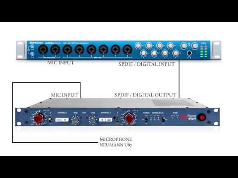 Compared NEVE 1073 DPD and Presonus 1818VSL