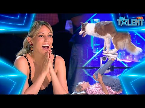 Adorable Perra Bailando En Got Talent España