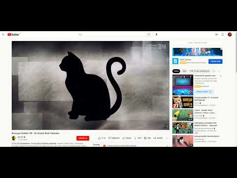 konuşan kediler 34 çok komik