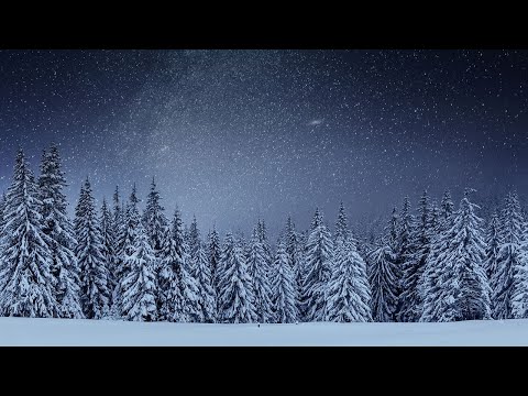 Midnight Wonderland - Wildson feat. Easton I Christmas Song