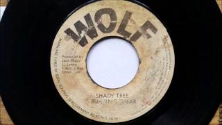 Burning Spear Shady Tree  - Wolf