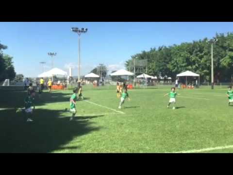 Go Cup 2016 Felipe Sub 7