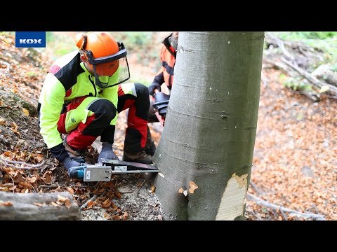 ValFast im Einsatz: Der mechanische Fällkeil BaSt-Ing im KOX Test