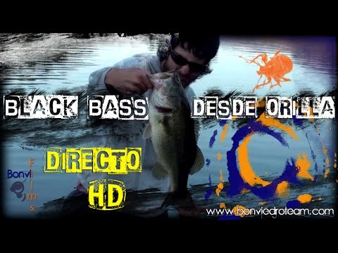 PESCA de GRAN BLACK BASS desde ORILLA #1 | 2017 | HD | BIG BASS FISHING with WORMS