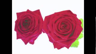 la pata de Juana G. Brassens