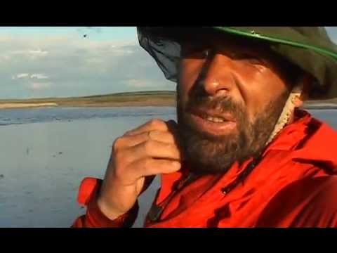 Mike Horn : l'expédition polaire Arktos