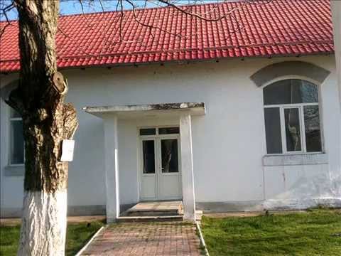 MAGLAVITUL in imagini!